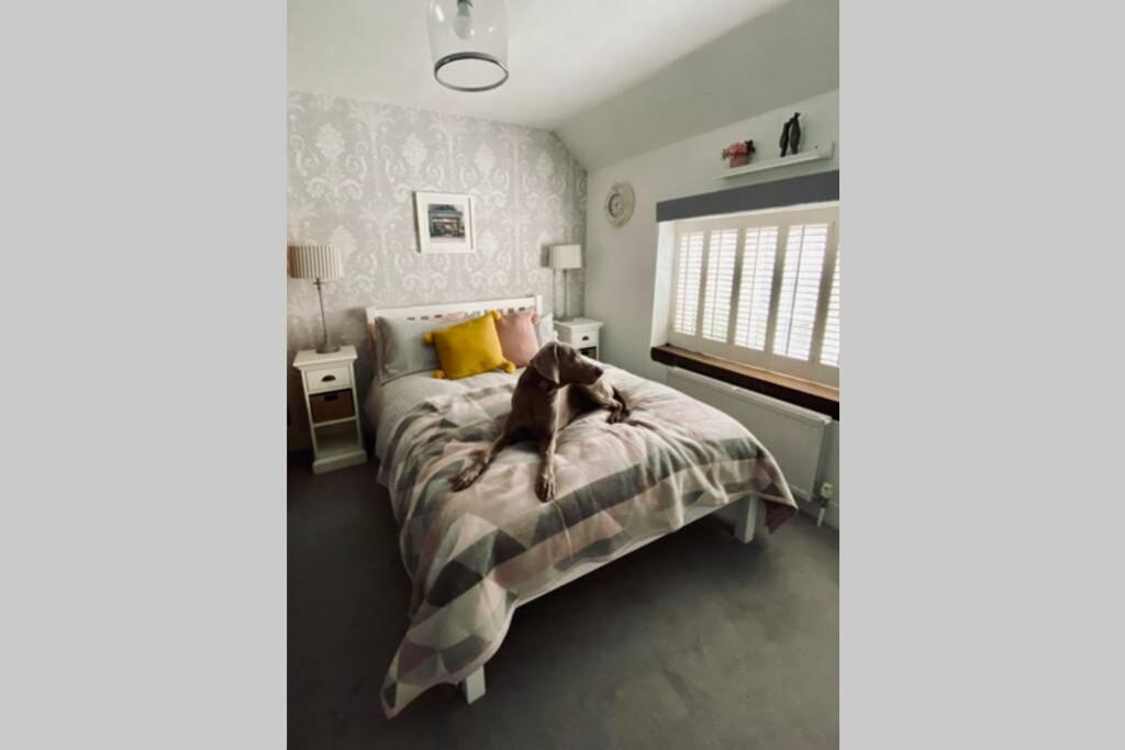Angel Cottage, Boxgrove, Chichester - Relax And Unwind 외부 사진